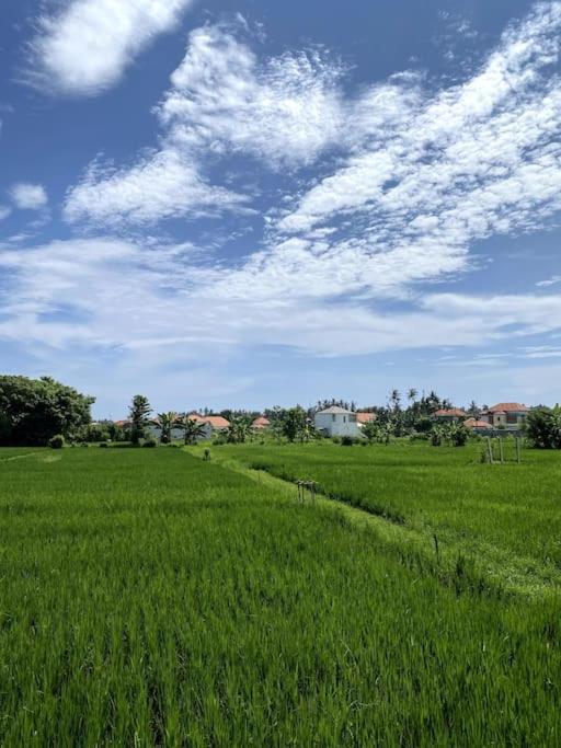 Villa Vespa Lovina Экстерьер фото